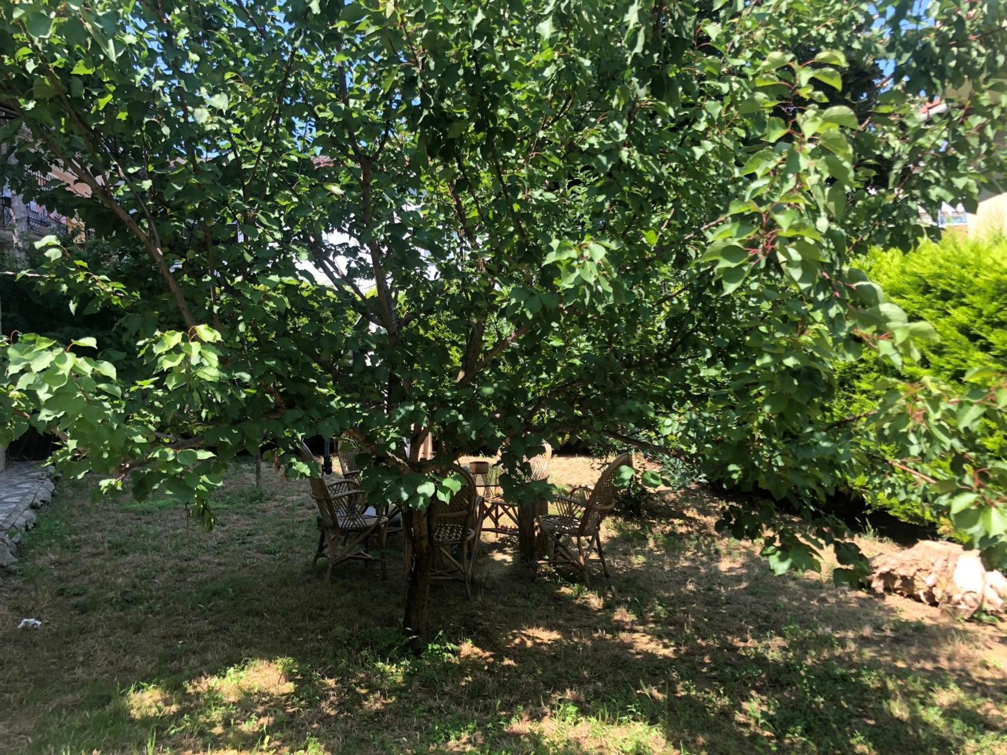 Garden House Apartment Istanbul Bagian luar foto